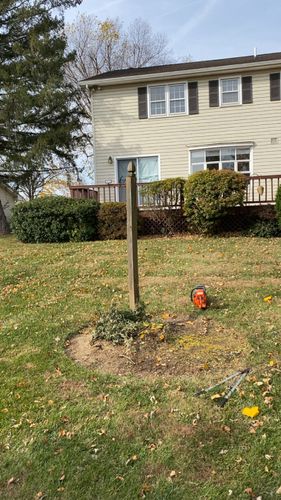 All Photos for Gray's Tree Service Inc in Maurertown, VA