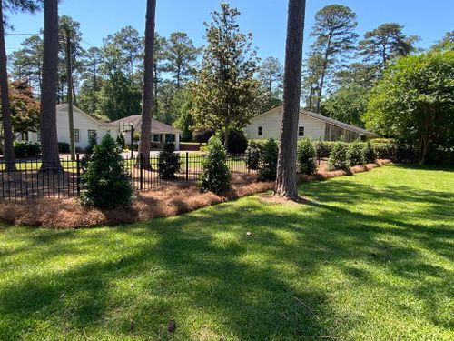 Tree & Shrub Care for Thomasville Lawn Care in Thomasville, GA