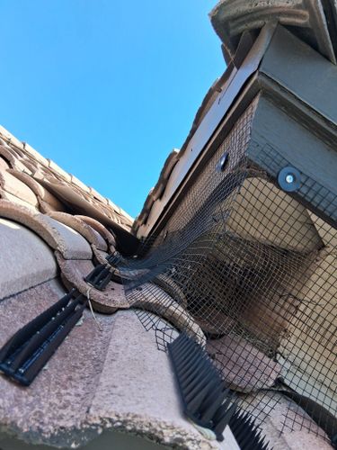 Bird Proofing for Olson & Sons Contracting in Mesa, AZ