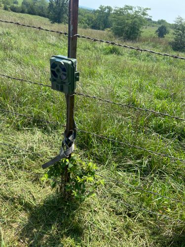 Trail Camera Upkeep for Two Young Bucks in Leon, IA