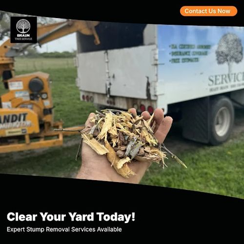 Stump Removal for Braun Tree Service in Cameron, TX