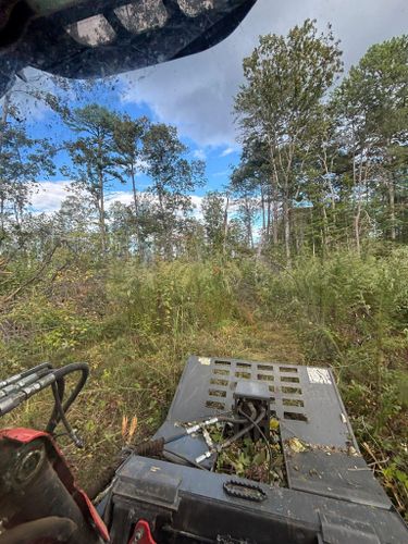  for TD Dirtworks in Tracy City, TN