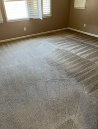 Carpet Cleaning for Randy’s Janitorial in Vallejo, CA