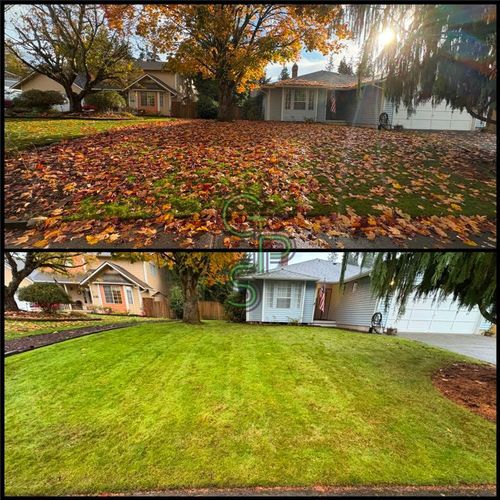 Property Clean-Up for Golovin Property Services LLC in Marysville, WA