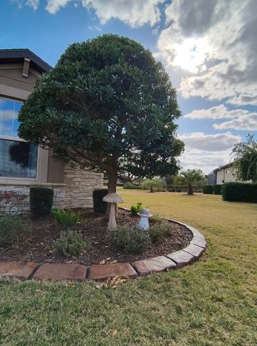  for J and E LAWN Landscaping in Gainesville, Florida