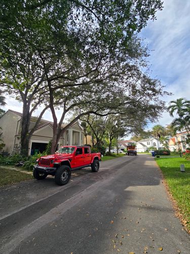 Tree Removal for Bridgewater Arbor Care LLC in Jupiter, FL
