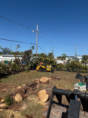 Stump Grinding for MX Trees LLC in Englewood, FL