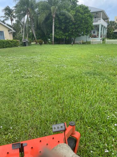  for Clear Water Lawn and Irrigation Service in Port St. Lucie, FL