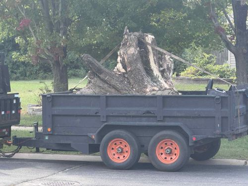 Tree Removal for K and Z Tree Care in Isanti County, MN