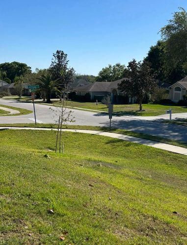 Tree Removal for A-1 Arbor Tech in Groveland, FL