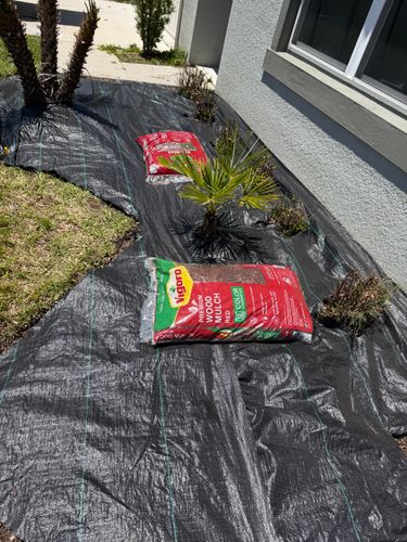 Landscape Design for The Yardman in Tampa, FL