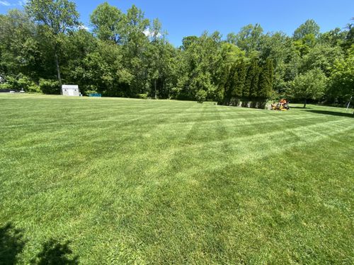 Lawn Maintenance  for Ace Landscaping in Trumbull, CT