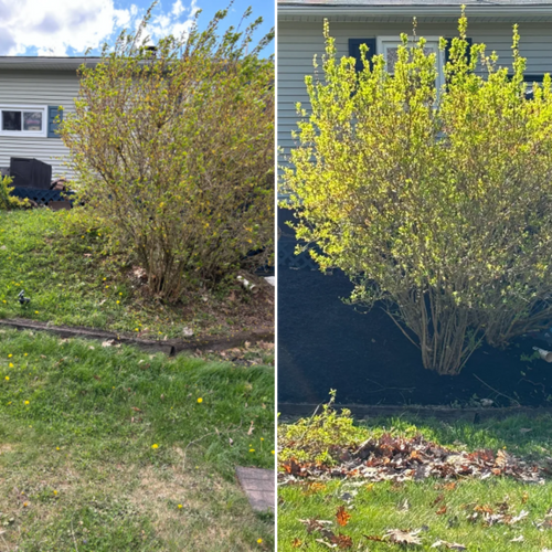  for Bryant Property Solutions in Altoona, PA