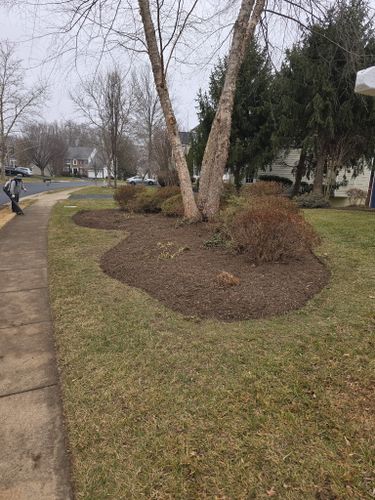 Shrub Trimming for W D Giampa Lawns and Landscape Inc. in Manassas, VA