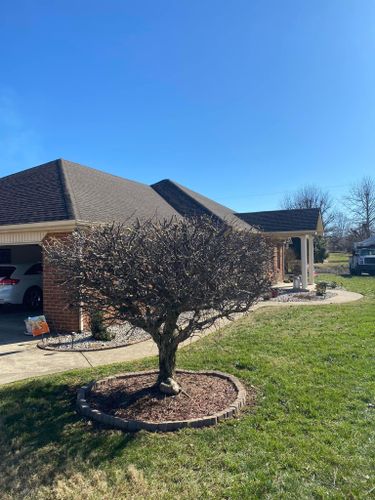 Tree Removal for Atwood’s Tree Care in Liberty,  KY