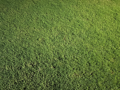  for Everett Lawn Care in Raleigh, NC