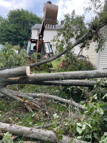 Tree Removal for Benjamin & Sons in Elmira, NY