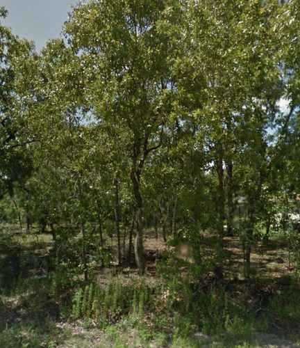  for J & E Land Clearing, LLC. in Dunnellon, FL
