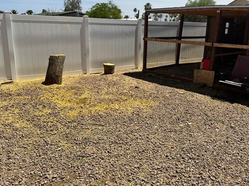 Tree Removal for Patriot Tree Service in Mesa, AZ