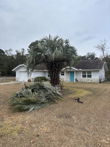 Tree Trimming & Removals for Aztec Land Destroyers LLC in Ocala, FL