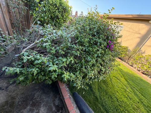  for CBA Landscaping in Hayward, CA