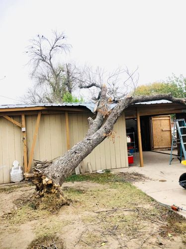 Tree Trimming and Removal for Del Real Landscape Contractors LLC in Del Rio, TX
