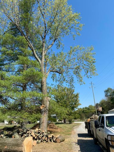 Fall and Spring Clean Up for Atwood’s Tree Care in Liberty,  KY