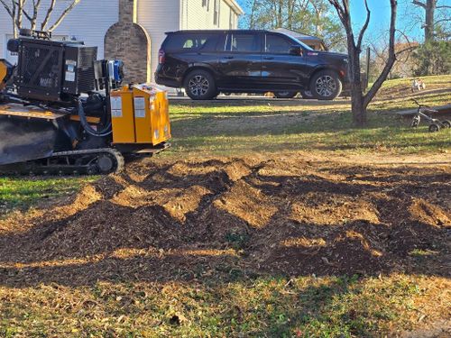 Stump Removal for W D Giampa Lawns and Landscape Inc. in Manassas, VA