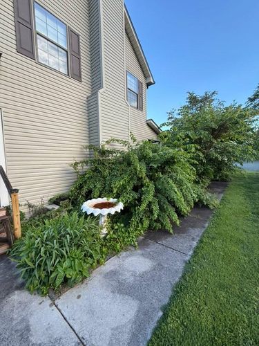  for Wesleys Landscaping in Clinton, TN