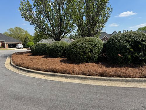 All Photos for Myles Mows in Augusta, GA