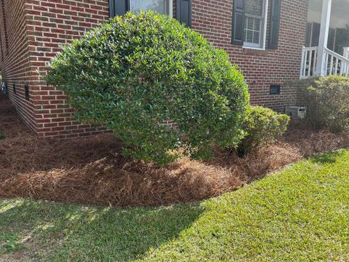  for Cutting Edge Lawn Care in Fayetteville, NC