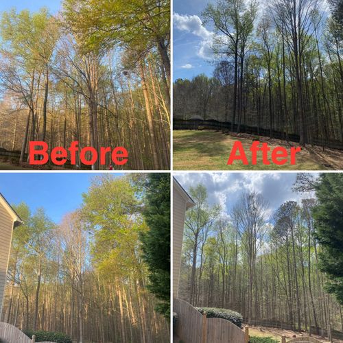 Tree Trimming for Pinedown LLC in Cherokee County, GA