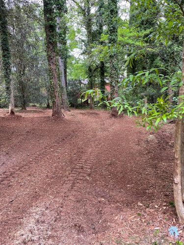 Land Clearing for G&H Forestry Mulching and Land Services in Fayetteville, GA