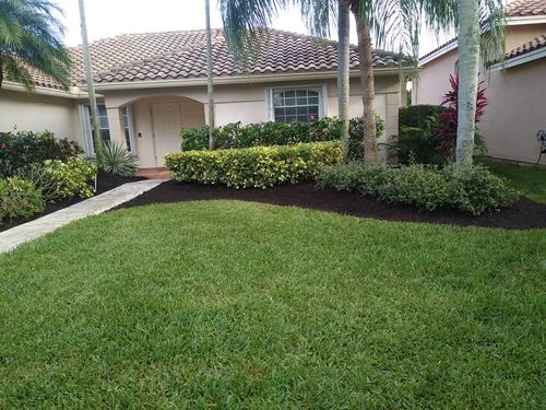 Shrub Trimming for VS Landscaping Services inc. in Fort Lauderdale, FL