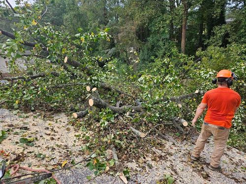  for Paradise Landscaping and Tree Service in Greenville, SC