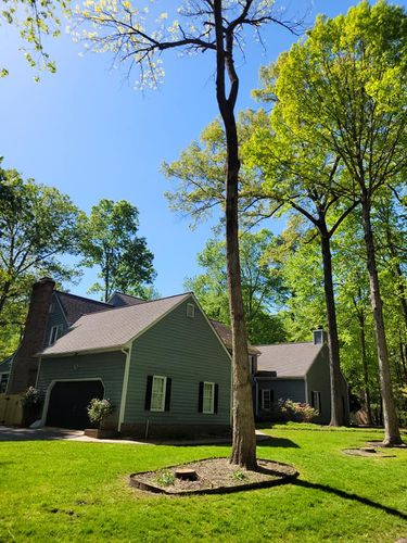  for Woody's Tree and Landscape in Fredericksburg, VA