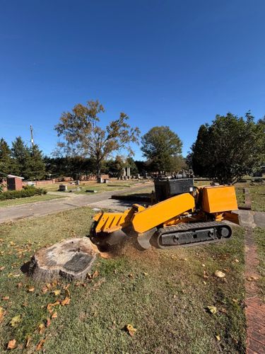 Stump Excavation for Dozier Stump Grinding in Augusta, GA