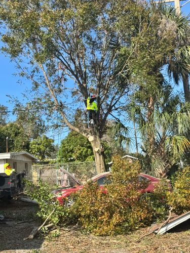  for Broadway Tree Care in Inverness, FL