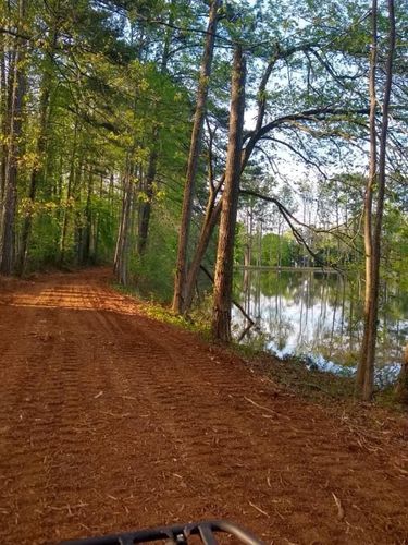 Land Clearing for G&H Forestry Mulching and Land Services in Fayetteville, GA