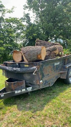 Other Services for Gray’s Tree Service Inc in Maurertown, VA