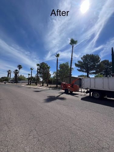 Stump Removal for By Faith Landscaping in Sierra Vista, AZ