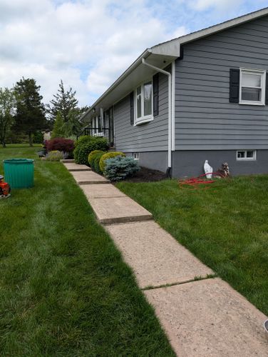 Privacy Plantings for Ettere Landscape Services in Flemington, NJ