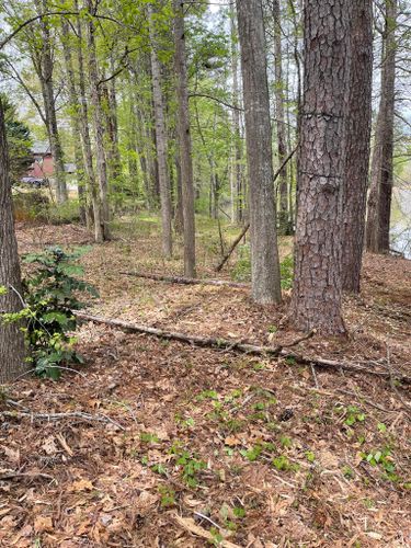 Land Clearing for G&H Forestry Mulching and Land Services in Fayetteville, GA