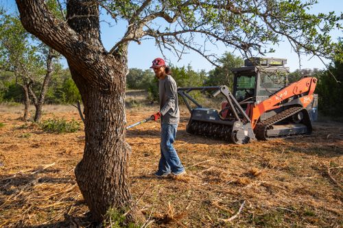 Tree Trimming & Removal for 512 Land Clearing in Blanco County, TX