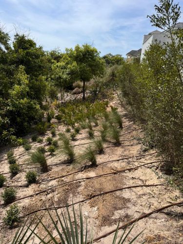 Landscaping Installation & Design for Pro Designs Landscaping in Jacksonville, FL