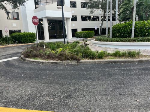 All Photos for Bridgewater Arbor Care LLC in Jupiter, FL