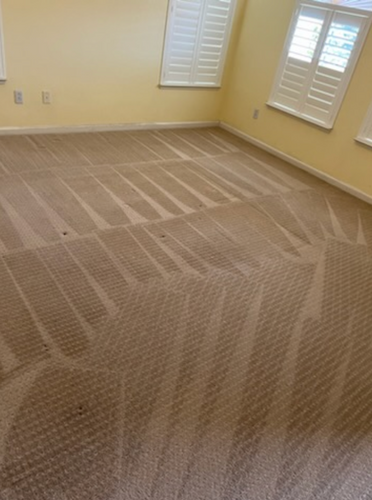 Carpet Cleaning for Randy’s Janitorial in Vallejo, CA