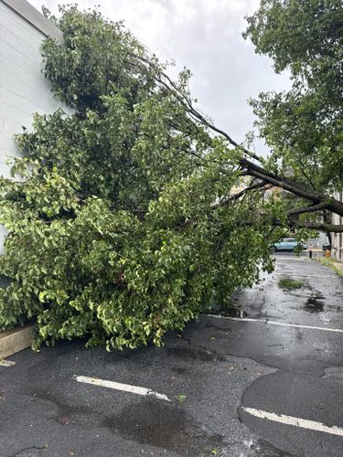  for Jonathan A. Henne Property Services. in Hamburg, PA