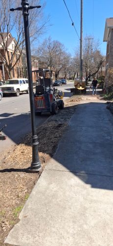 All Photos for Pro Tree Trim & Removal, Llc in Dayton, OH