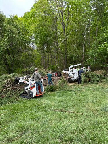 All Photos for Ramirez Tree Care in Elkin, NC
